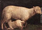 Sheep Canvas Paintings - Sheep and Lamb